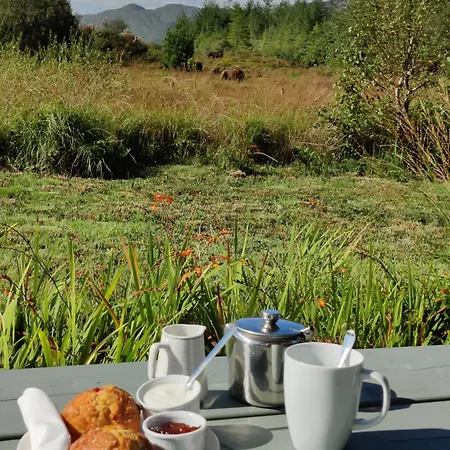 Alaind Lodges, * Sneem
