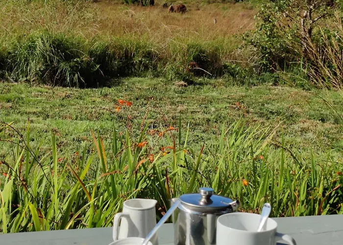 Alaind Lodges, * Sneem